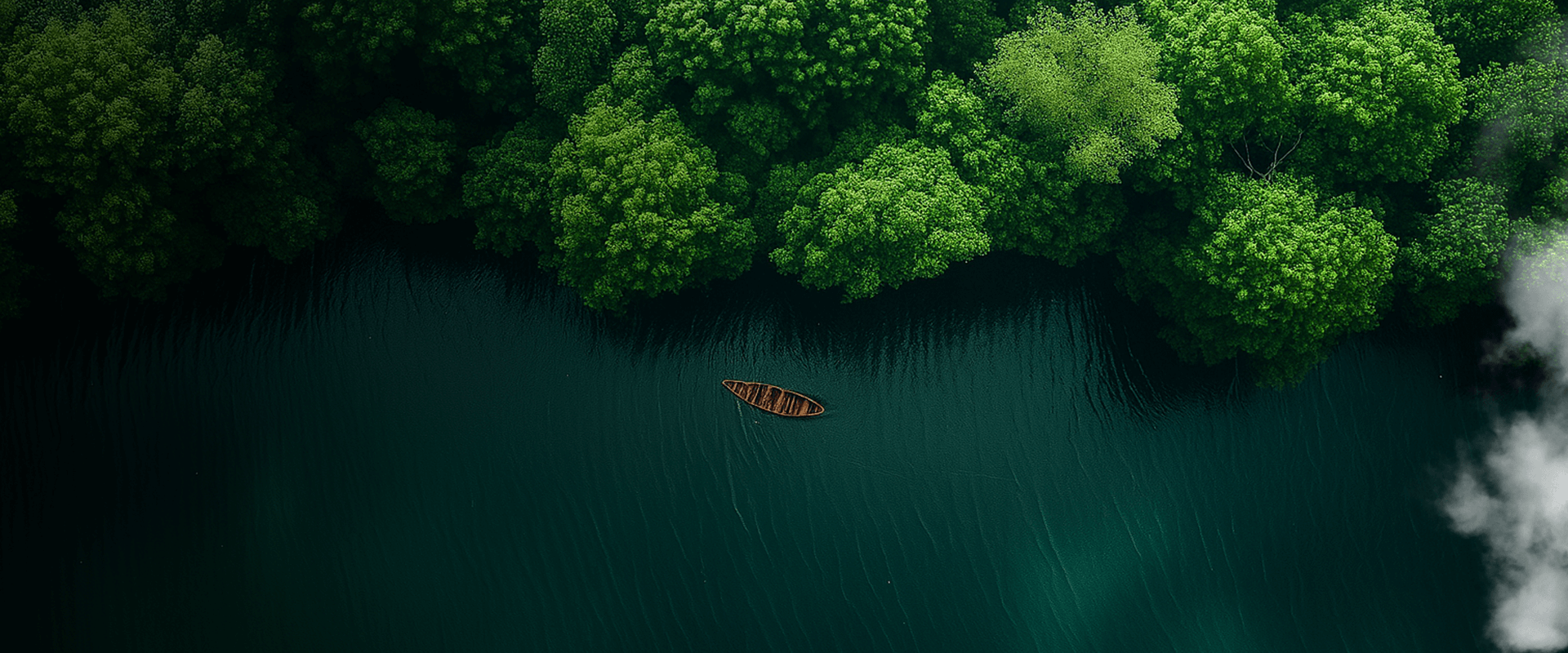 BG.webp